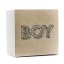 BOY