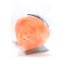 YoYoFactory Short Circuit - Plastic Spin Top